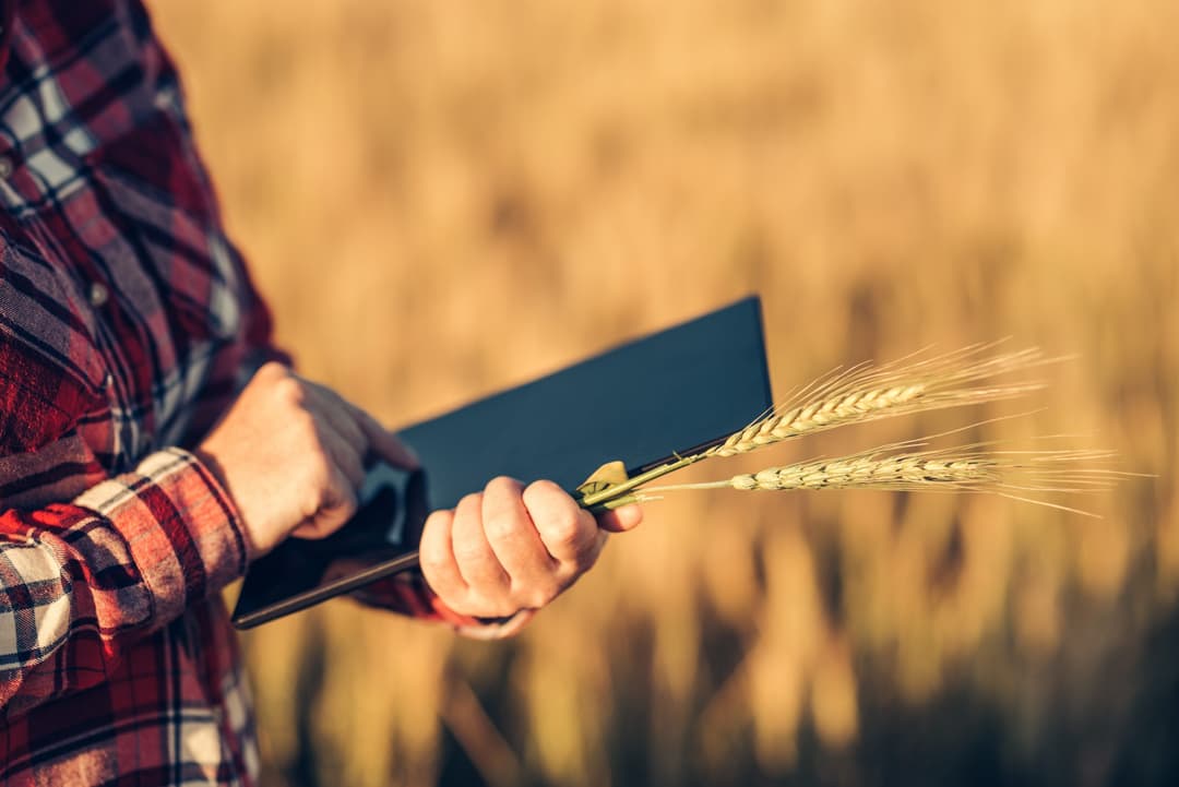 Turkey Expects Growth in the Agriculture Industry After Launching the Digital Market