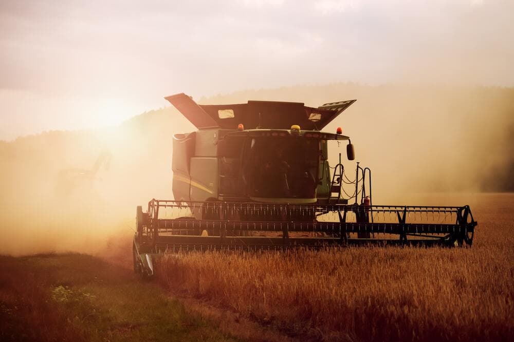 Factors Affecting A Productive Agriculture