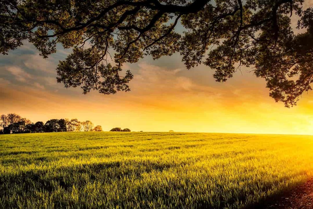 What Expects Agriculture in 2023?