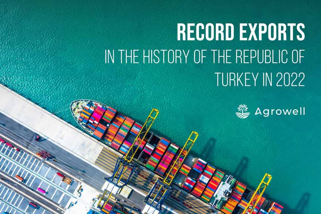 Turkey’s Exports Break a Record of $254 Billion in 2022