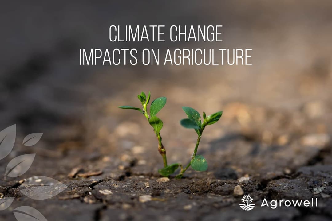 Climate Change Impacts on Agriculture and Solutions