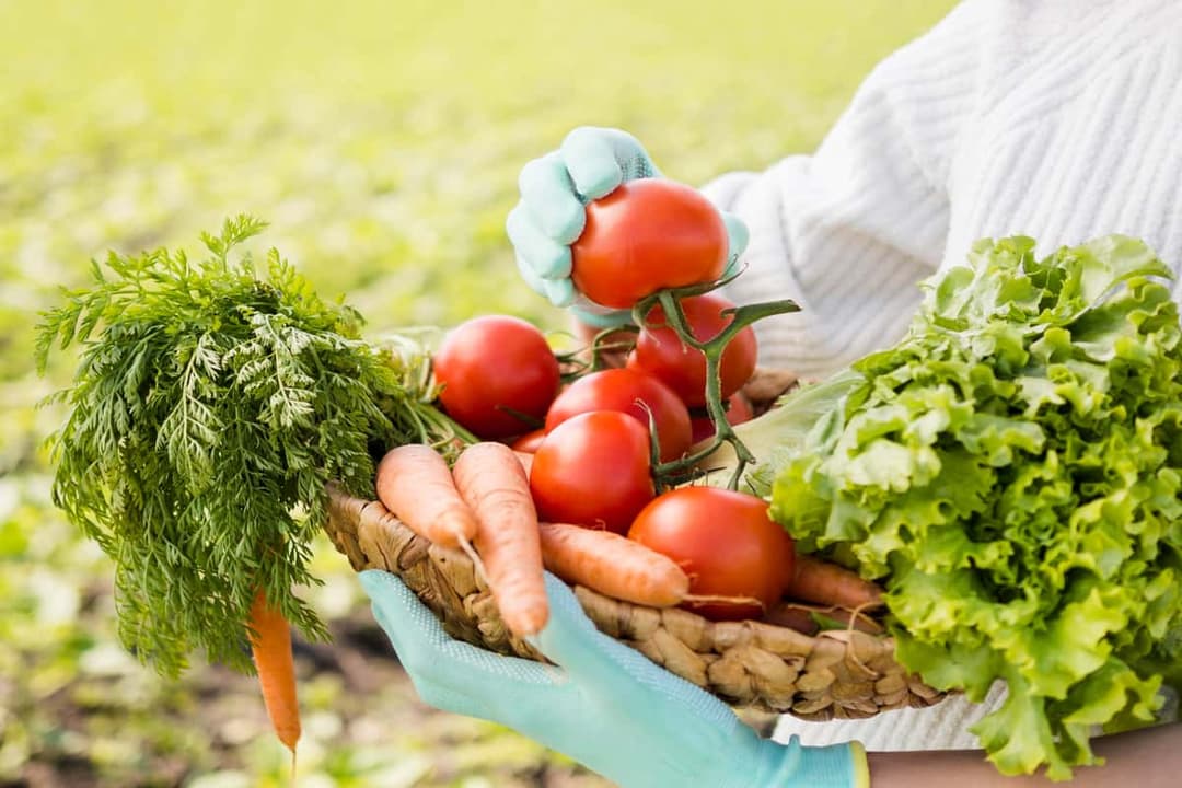 What are Alternative Agricultural Methods?