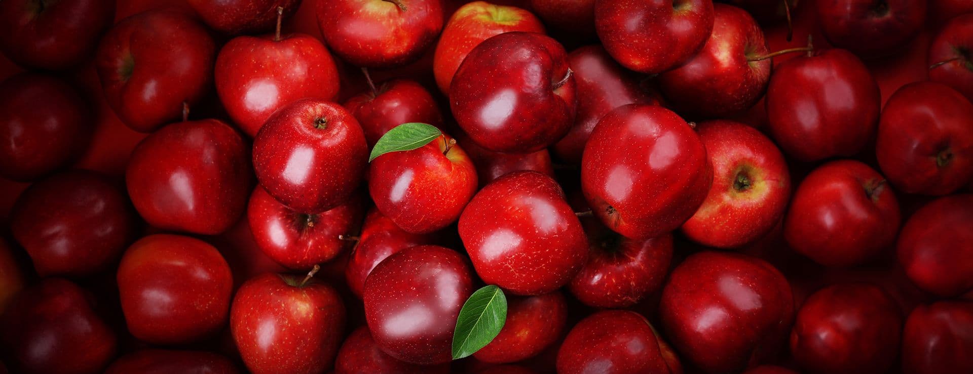 Wholesale apples in a crate