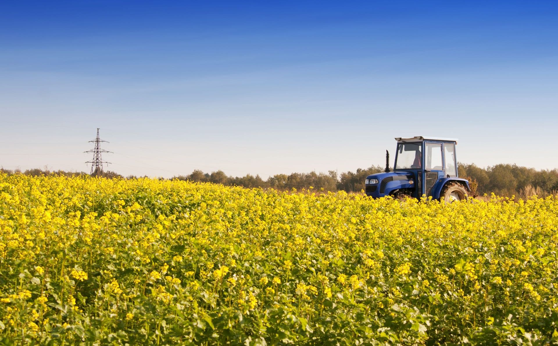 Turkey Is the International Market Leader in Agriculture Sector
