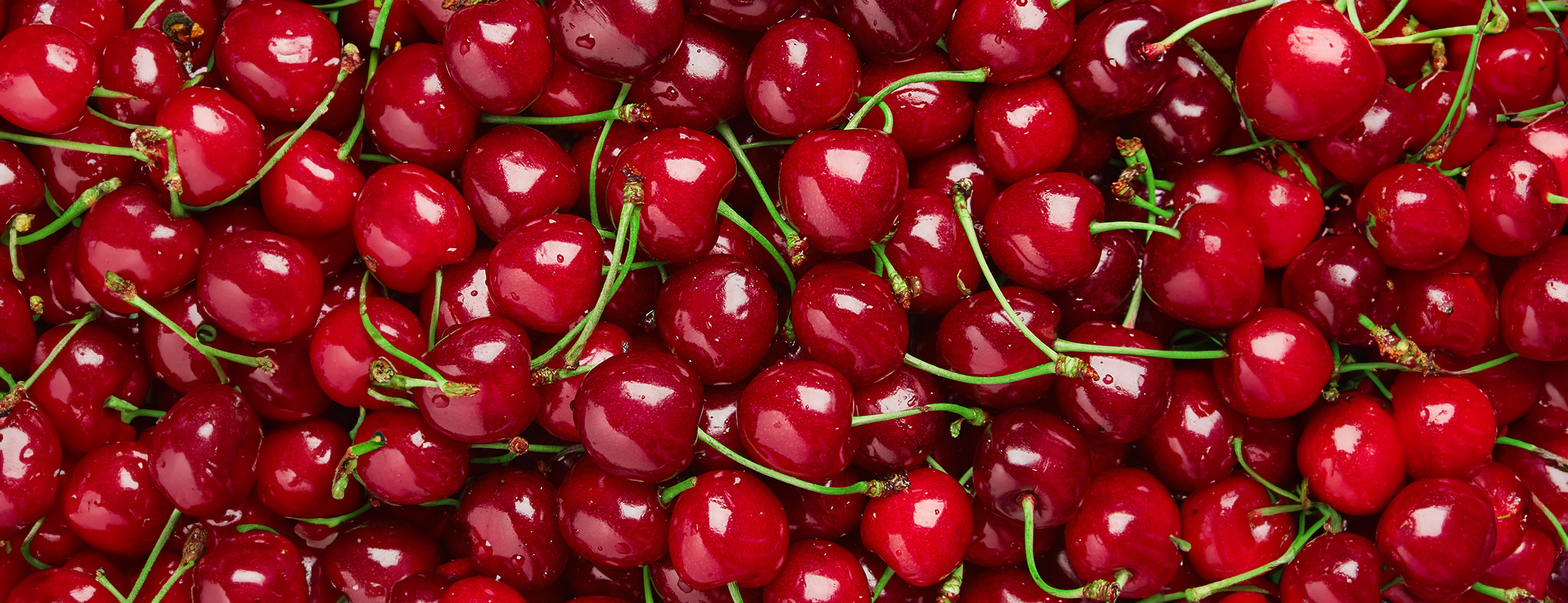 Wholesale cherry in bulk from Turkey