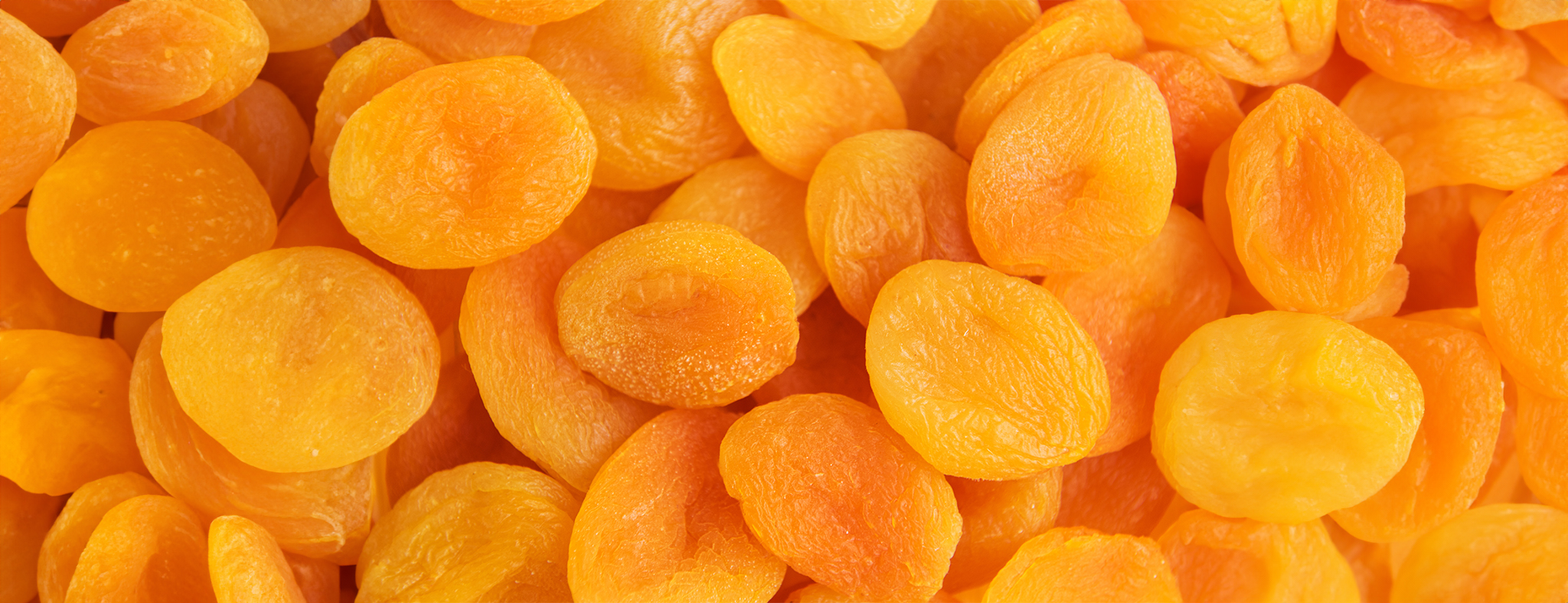 Wholesale dried apricots in bulk from Turkey