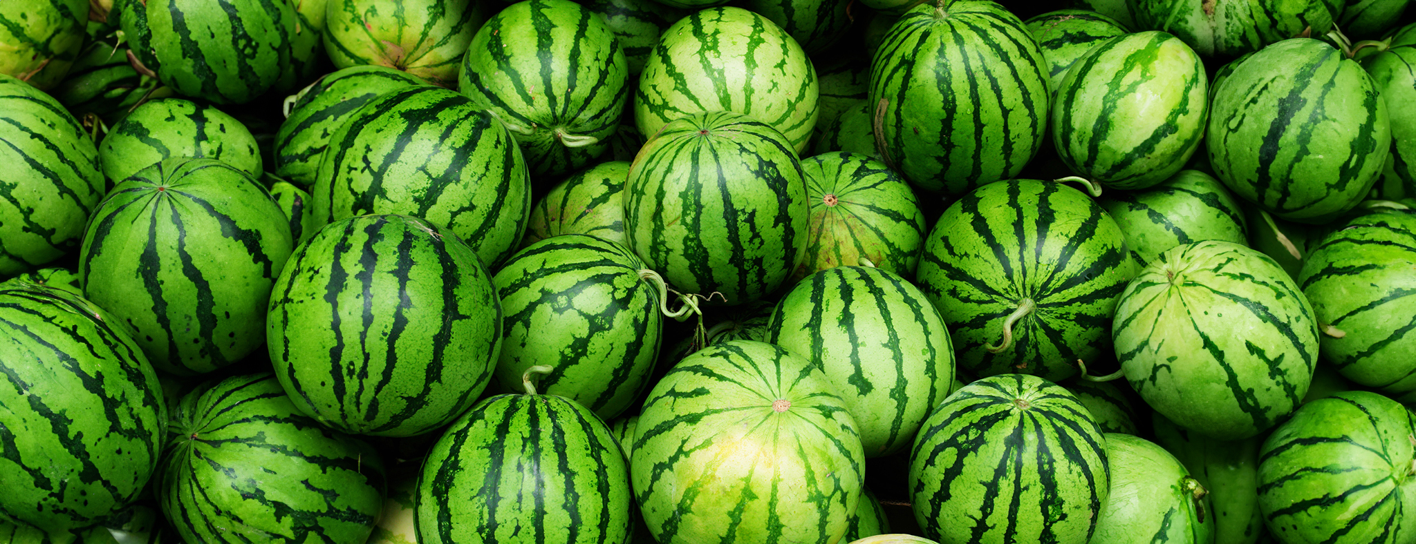 Wholesale watermelon in bulk from Turkey